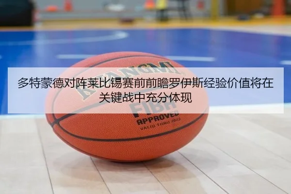 多特蒙德对阵莱比锡赛前前瞻罗伊斯经验价值将在关键战中充分体现
