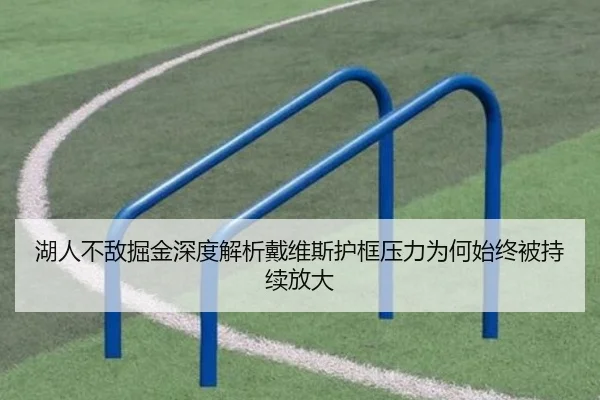 湖人不敌掘金深度解析戴维斯护框压力为何始终被持续放大