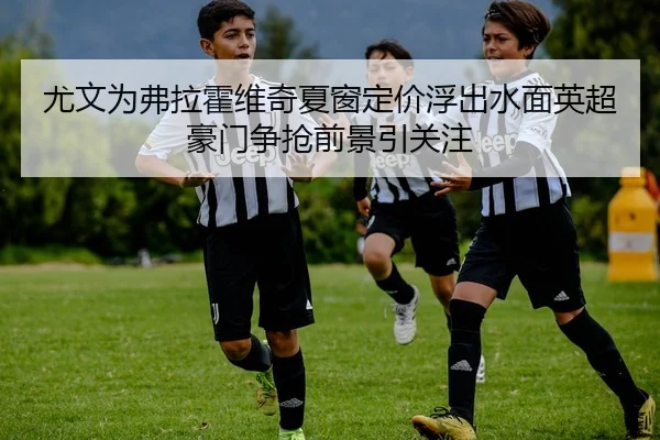 尤文为弗拉霍维奇夏窗定价浮出水面英超豪门争抢前景引关注