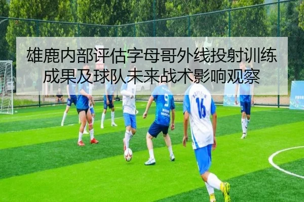 雄鹿内部评估字母哥外线投射训练成果及球队未来战术影响观察