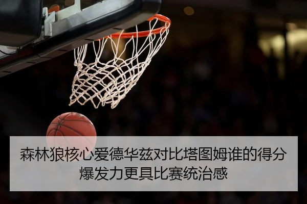 森林狼核心爱德华兹对比塔图姆谁的得分爆发力更具比赛统治感